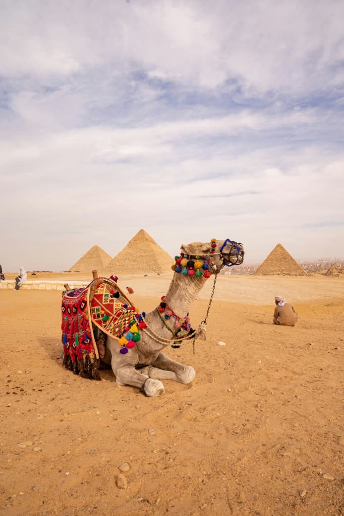 Half-Day Giza Pyramids &amp; Sphinx Tour