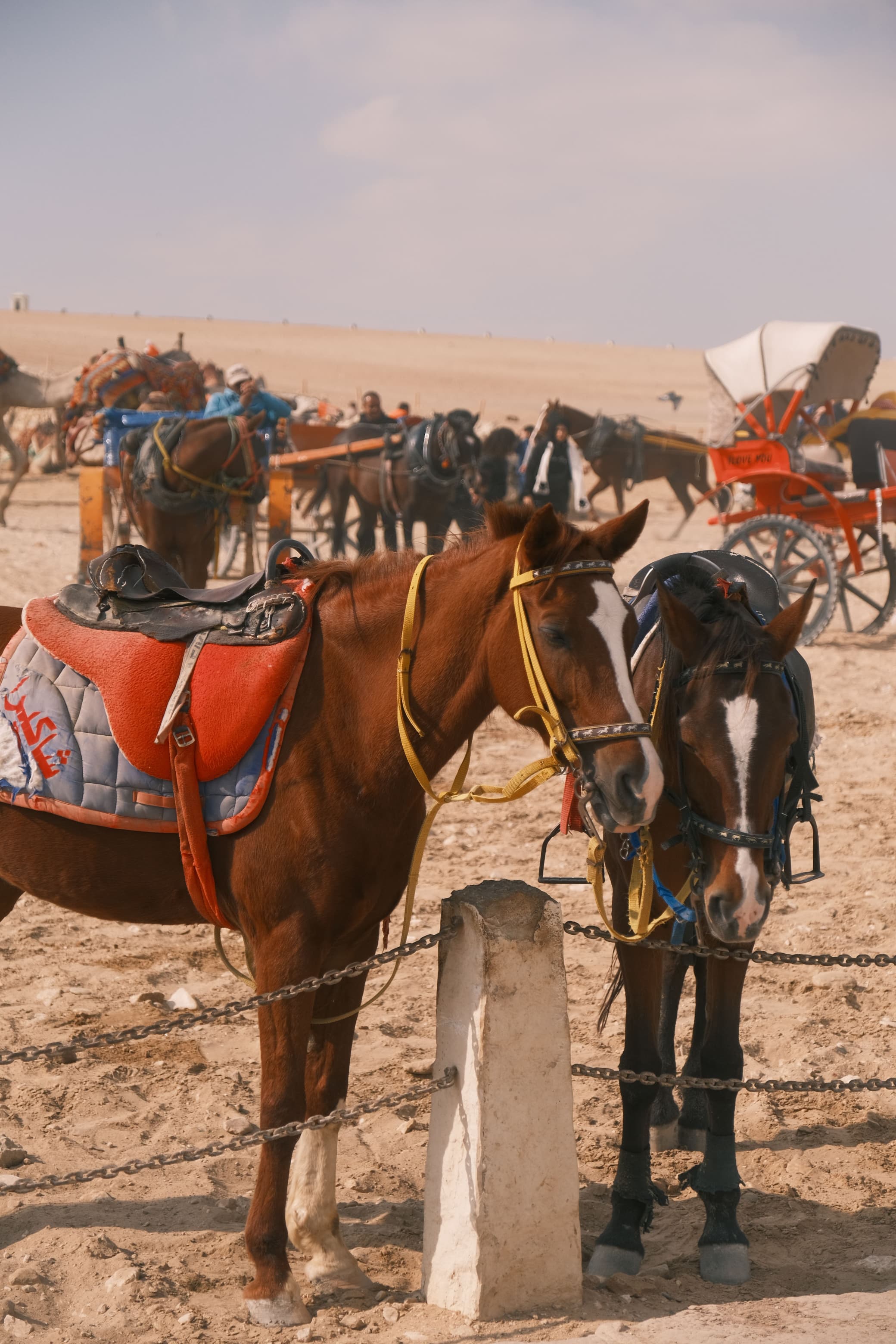 Horse Riding at the Giza Pyramids