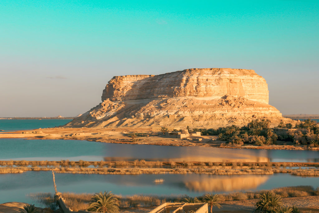 Fayoum Oasis Day Trip: Nature, History & Adventure