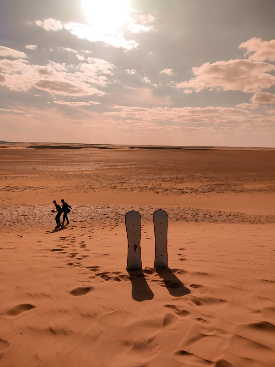 Fayoum Oasis Day Trip: Nature, History & Adventure