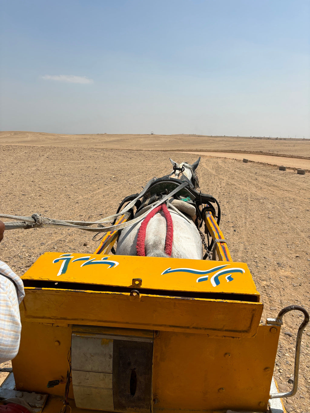 Horse Riding at the Giza Pyramids