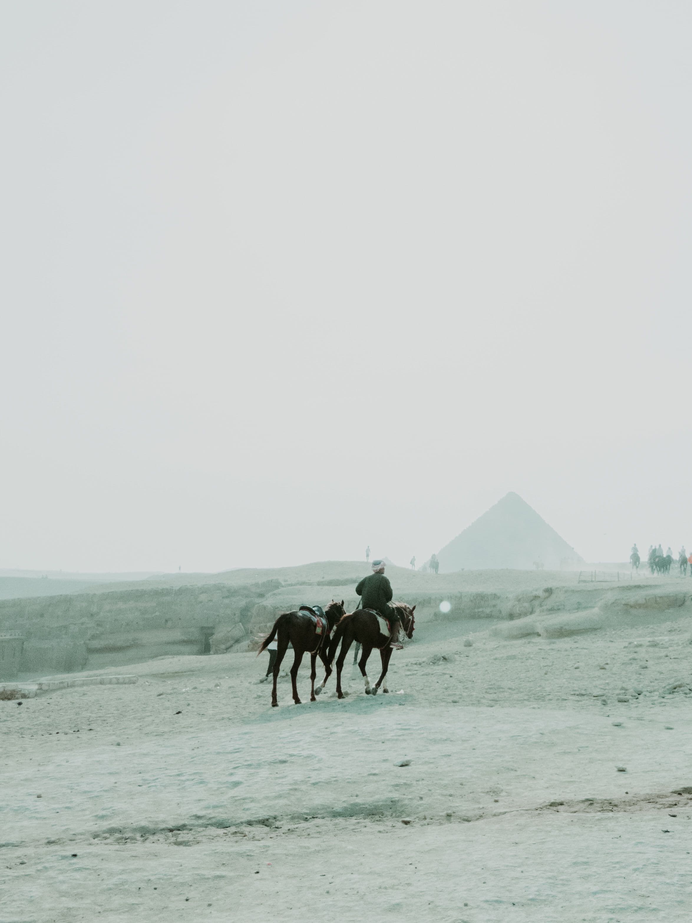 Horse Riding at the Giza Pyramids