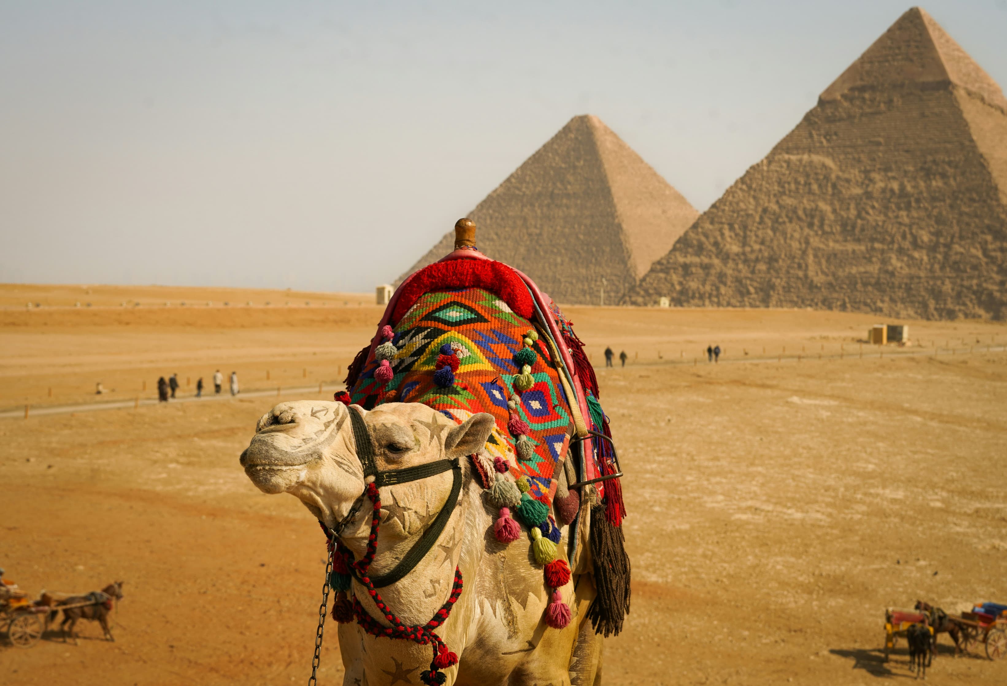 Giza Pyramids Camel Ride Experience