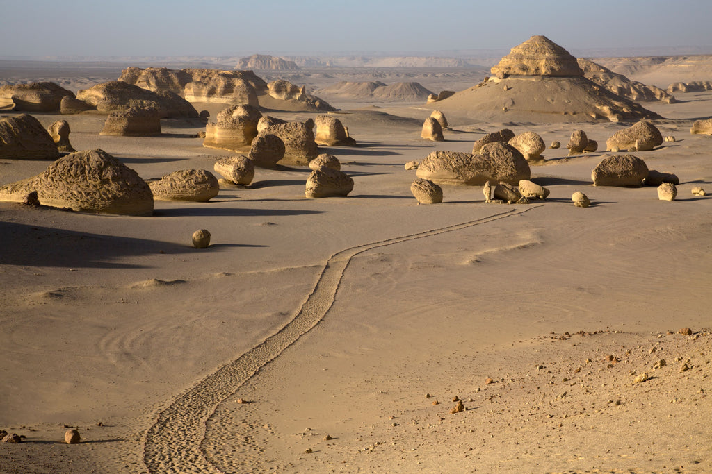 Fayoum Oasis Day Trip: Nature, History & Adventure