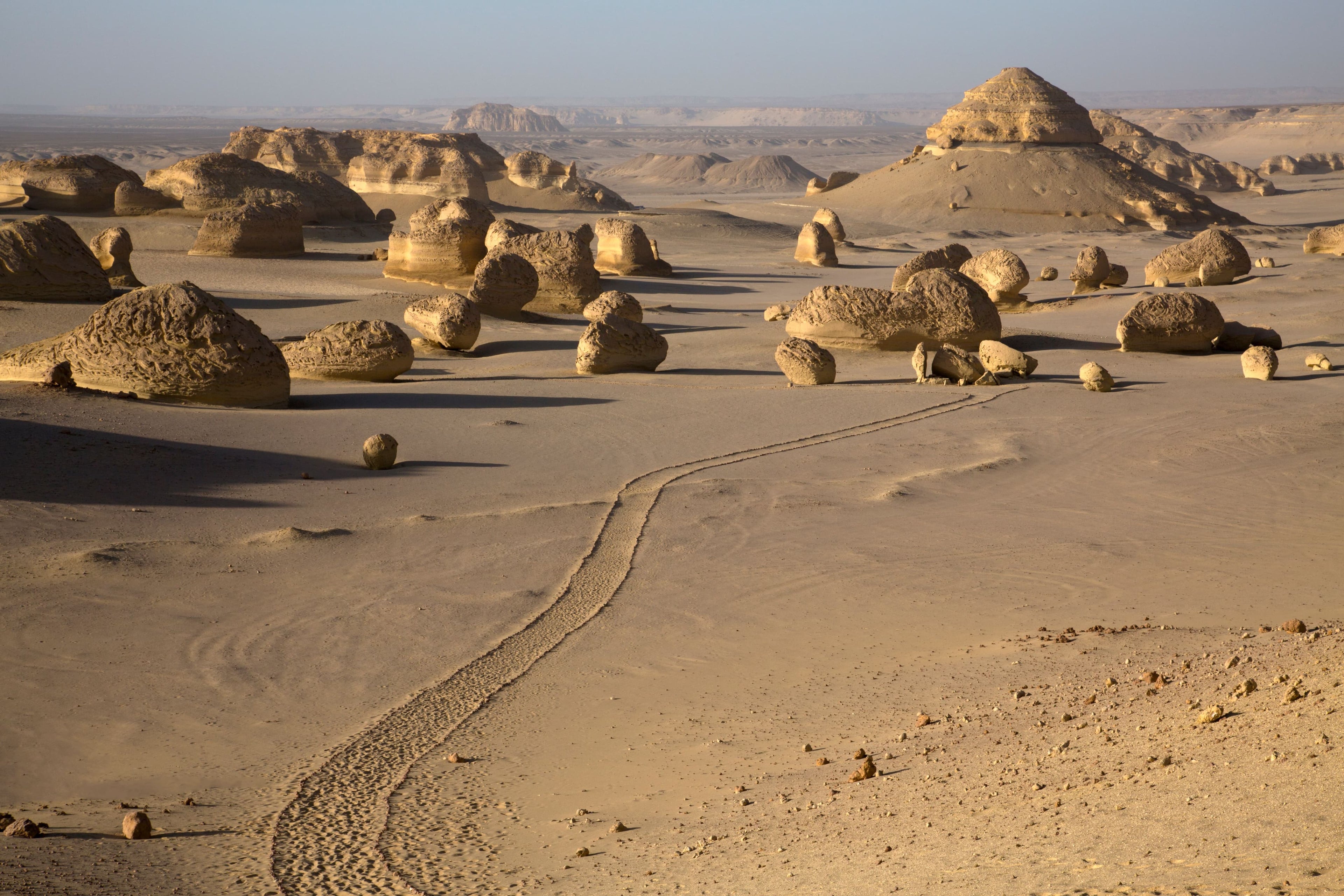 Fayoum Oasis Day Trip: Nature, History & Adventure