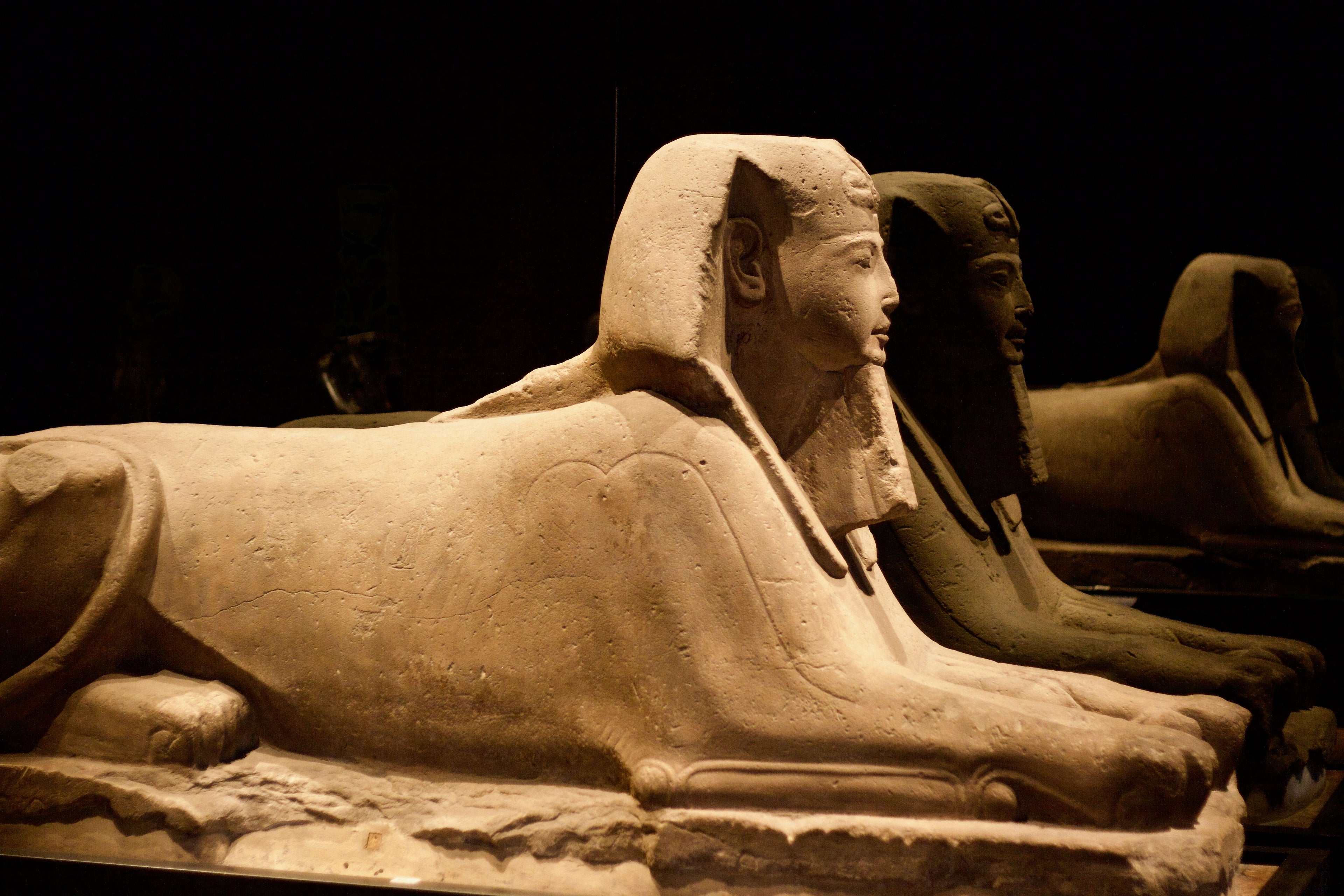 Full-Day Egyptian Museum, Salah El-Din Citadel & Khan El Khalili Tour