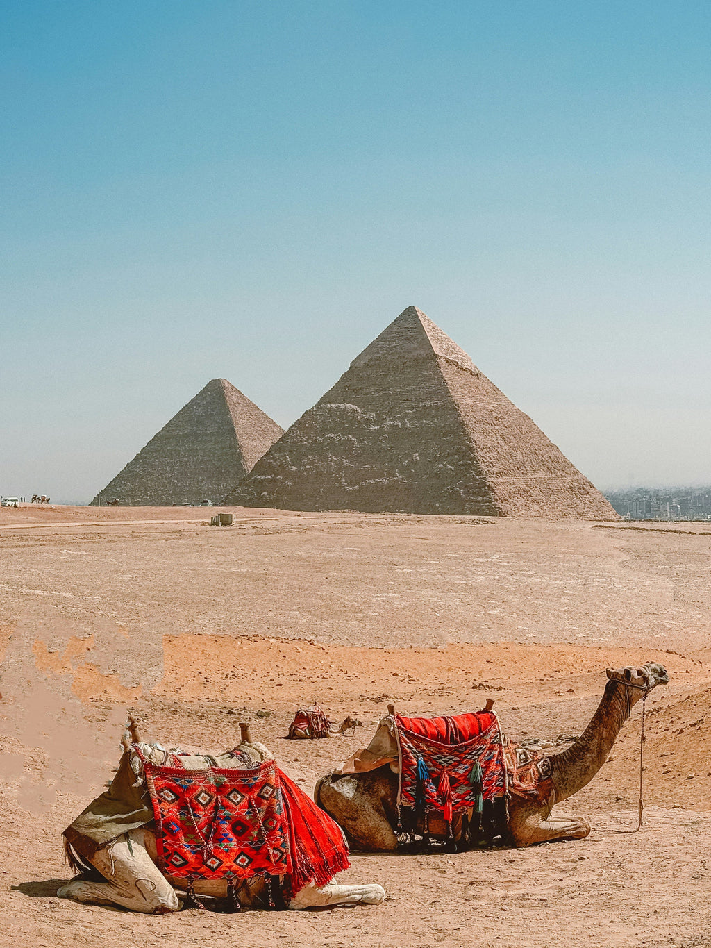Giza Pyramids Camel Ride Experience