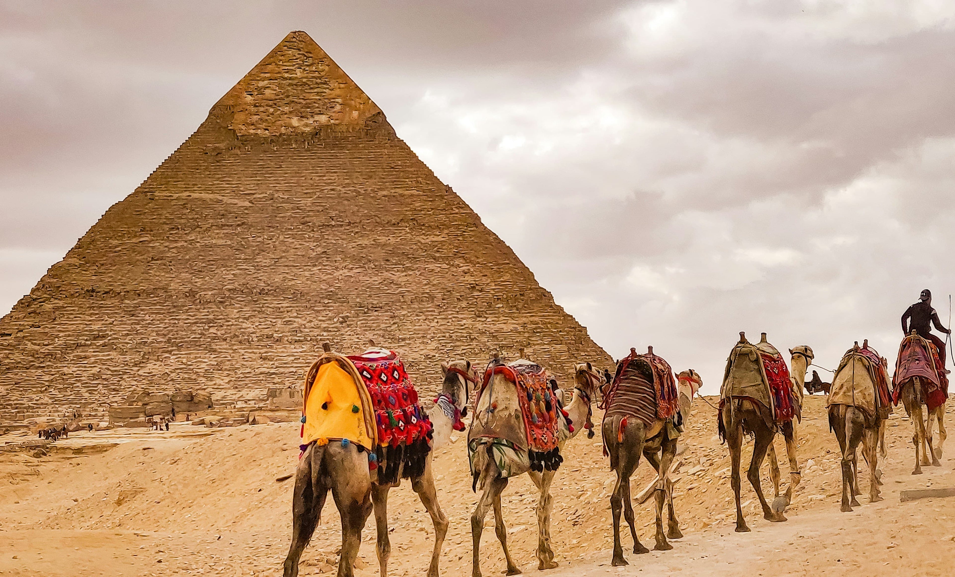 Giza Pyramids Camel Ride Experience